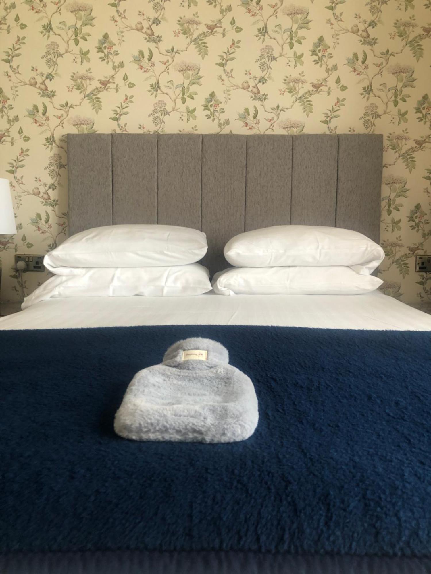 Helmsman Guesthouse Aberystwyth Dış mekan fotoğraf